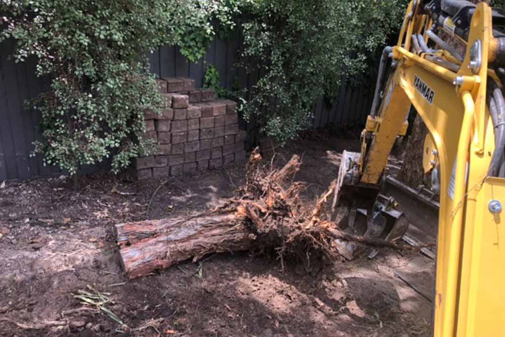 Tree stump removed by a mini excavator
